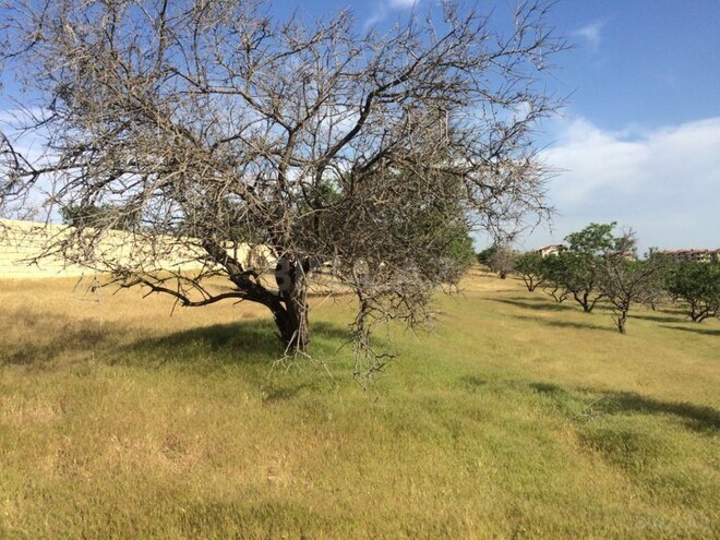 Satılır  torpaq 90 sot, Masazır q., photo 5 from 7