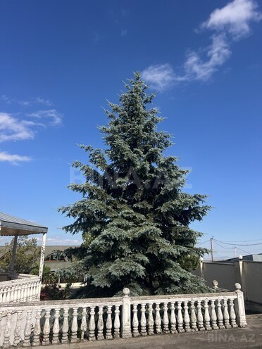 Satılır 7 otaqlı həyət evi/bağ evi 210 m², photo 12 from 32