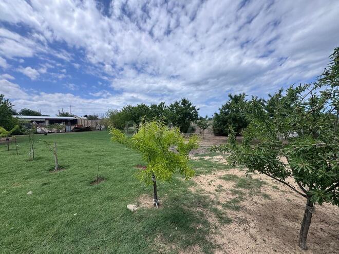 Satılır 7 otaqlı həyət evi/bağ evi 480 m², Bilgəh q., photo 4 from 12