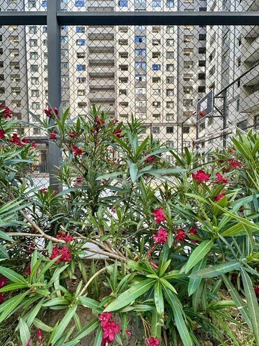 Satılır 3 otaqlı yeni tikili 140 m², 8 Noyabr m., photo 23 from 26