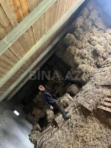 Satılır 10 otaqlı həyət evi/bağ evi 1 500 m², photo 15 from 23
