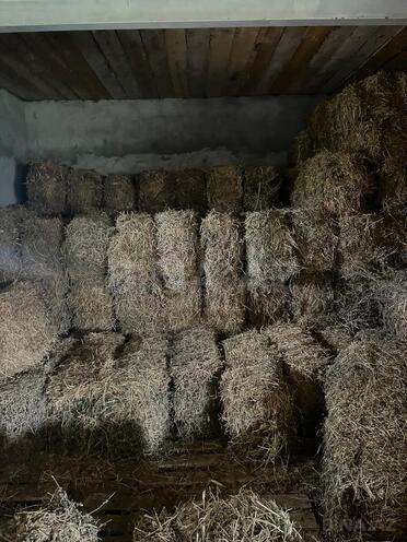 Satılır 10 otaqlı həyət evi/bağ evi 1 500 m², photo 11 from 23