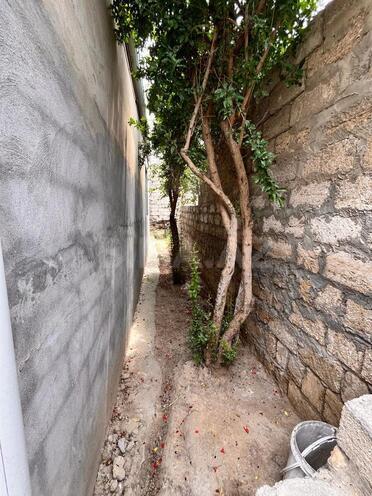 Satılır 3 otaqlı həyət evi/bağ evi 80 m², Zığ q., photo 5 from 19