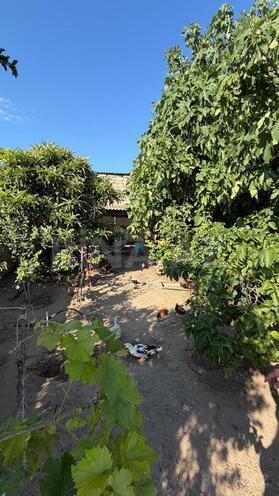 Satılır 3 otaqlı həyət evi/bağ evi 100 m², Maştağa q., photo 3 from 11