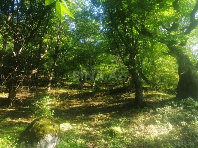 Продаётся  участок 3 сот, photo 6 from 8