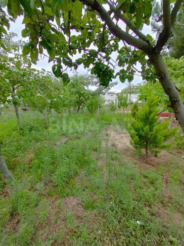 Продаётся 4-комн. дом/дача 165 м², пос. Нардаран, photo 29 from 30