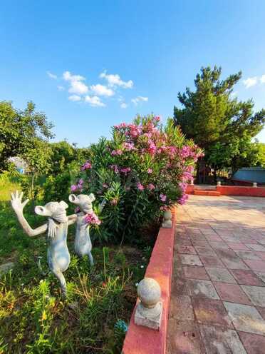 Продаётся 4-комн. дом/дача 165 м², пос. Нардаран, photo 13 from 30