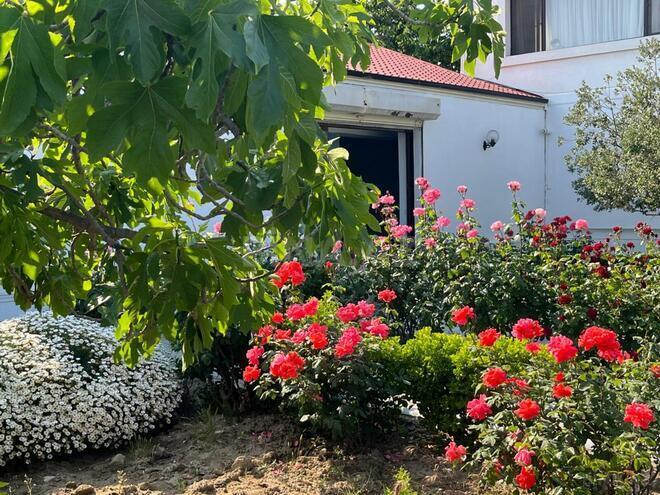 Продаётся 6-комн. дом/дача 525 м², пос. Новханы, photo 18 from 19