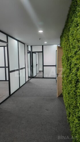 İcarəyə verilir 5 otaqlı ofis 190 m², Şah İsmayıl Xətai m., photo 5 from 19