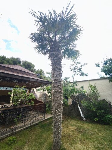 Satılır 7 otaqlı həyət evi/bağ evi 350 m², Bakıxanov q., photo 5 from 30