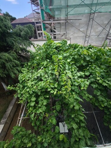 Satılır 7 otaqlı həyət evi/bağ evi 350 m², Bakıxanov q., photo 6 from 30