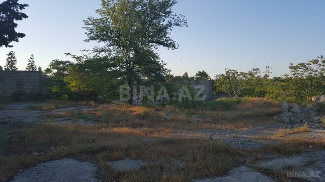 Продаётся  участок 372 сот, пос. Амирджаны, photo 4 from 13