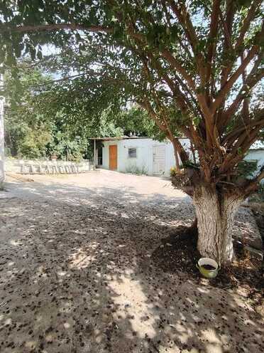 Satılır 3 otaqlı həyət evi/bağ evi 120 m², Köhnə Günəşli q., photo 16 from 17