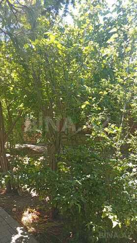 Продаётся  участок 2 сот, пос. Бадамдар, photo 8 from 16