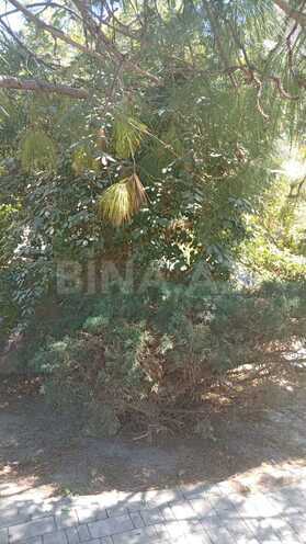 Продаётся  участок 2 сот, пос. Бадамдар, photo 9 from 16