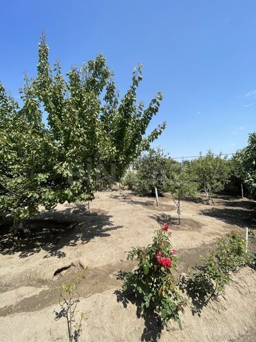 Satılır 7 otaqlı həyət evi/bağ evi 200 m², Saray q., photo 22 from 32