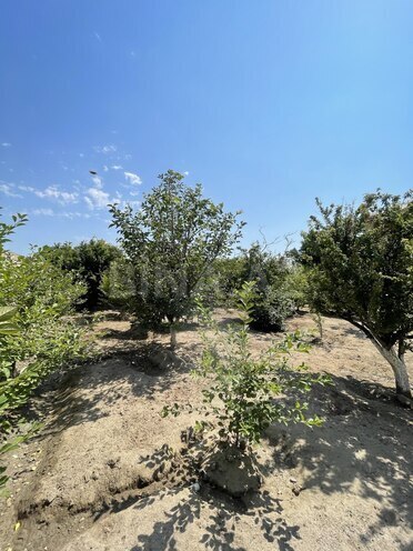 Satılır 7 otaqlı həyət evi/bağ evi 200 m², Saray q., photo 24 from 32