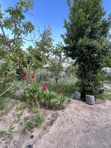 Satılır 7 otaqlı həyət evi/bağ evi 200 m², Novxanı q., photo 31 from 32