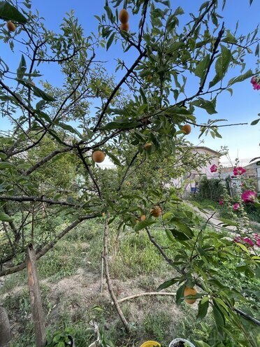Satılır 7 otaqlı həyət evi/bağ evi 200 m², Novxanı q., photo 30 from 32