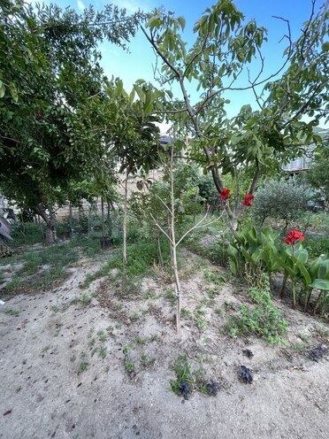 Satılır 7 otaqlı həyət evi/bağ evi 200 m², Novxanı q., photo 7 from 32