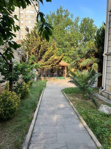 İcarəyə verilir  obyekt 750 m², 8 Noyabr m., photo 3 from 29