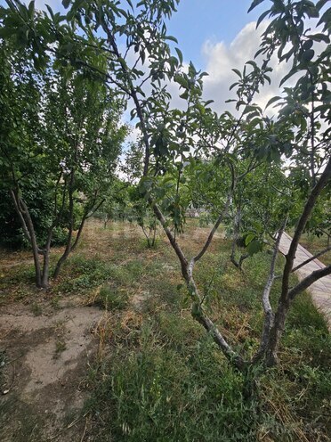 Продаётся 4-комн. дом/дача 200 м², пос. Мардакан, photo 7 from 30