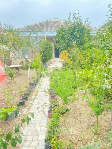 Satılır 3 otaqlı həyət evi/bağ evi 113 m², Albalılıq q., photo 3 from 12