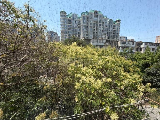 İcarəyə verilir 3 otaqlı köhnə tikili 70 m², Nəsimi r., photo 11 from 14