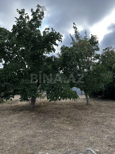 Продаётся  участок 22 сот, Хазарский р., photo 14 from 20