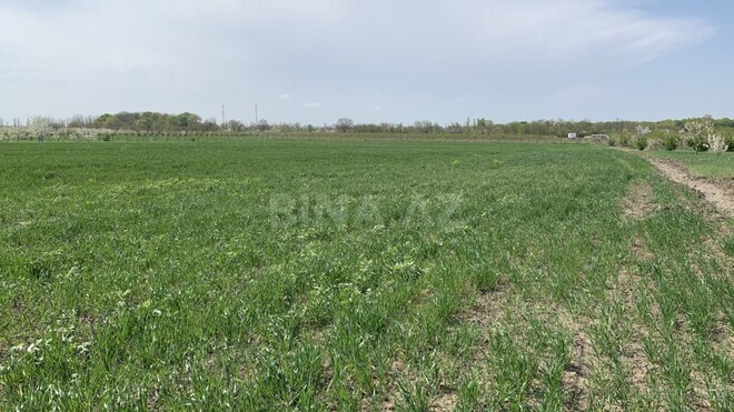 Satılır  torpaq 180 sot, photo 1 from 4