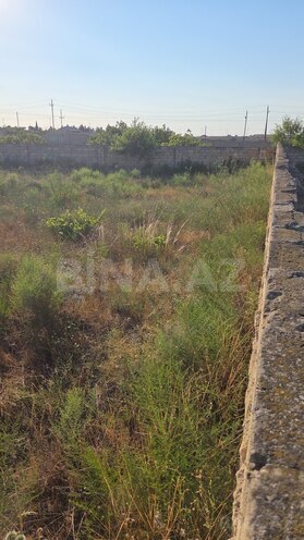 Продаётся  участок 13 сот, пос. Нардаран, photo 5 from 6