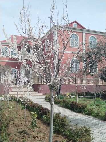 Satılır 10 otaqlı həyət evi/bağ evi 600 m², Azadlıq Prospekti m., photo 22 from 23