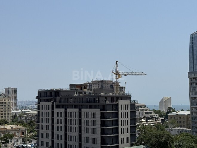İcarəyə verilir 2 otaqlı yeni tikili 110 m², 28 May m., photo 21 from 28