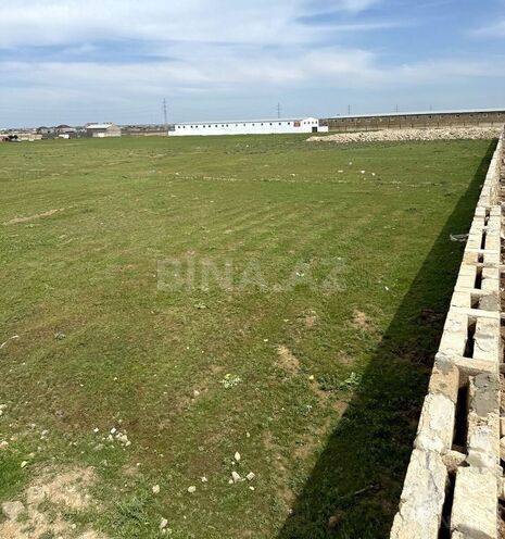 Satılır  torpaq 50 sot, Binə q., photo 1 from 3