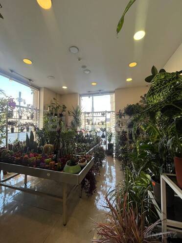 İcarəyə verilir  obyekt 30 m², Nəriman Nərimanov m., photo 5 from 9