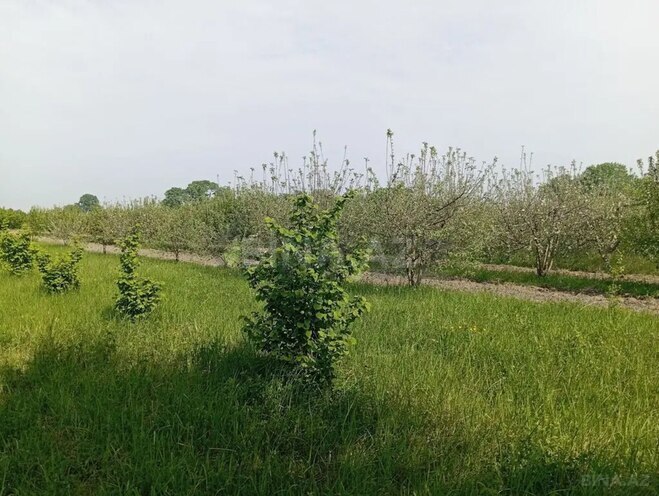 Продаётся  участок 26 сот, Низаминский  р., photo 1 from 4