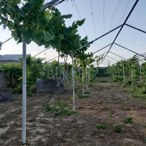 Satılır  torpaq 24 sot, Albalılıq q., photo 7 from 12