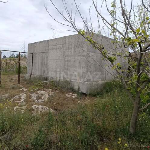 Satılır  torpaq 24 sot, Albalılıq q., photo 9 from 12