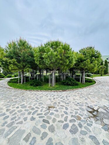 İcarəyə verilir 8 otaqlı həyət evi/bağ evi 600 m², Bilgəh q., photo 23 from 32