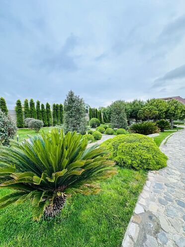 İcarəyə verilir 8 otaqlı həyət evi/bağ evi 600 m², Bilgəh q., photo 17 from 32