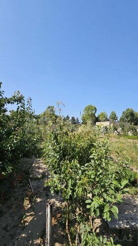 Satılır 4 otaqlı həyət evi/bağ evi 350 m², Bilgəh q., photo 20 from 30
