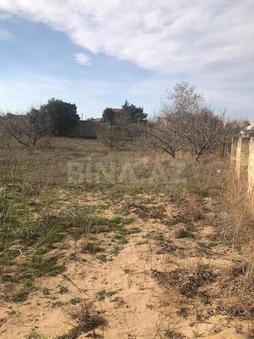 Продаётся  участок 32 сот, пос. Нардаран, photo 8 from 13