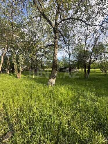 Satılır  torpaq 77 sot, photo 6 from 7