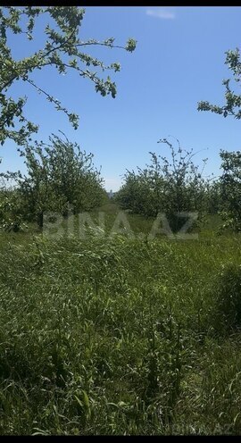 Satılır  torpaq 300 sot, photo 3 from 6