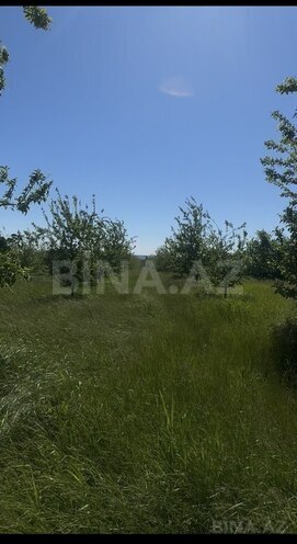 Satılır  torpaq 300 sot, photo 4 from 6