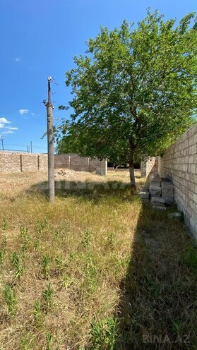 Satılır  torpaq 4 sot, Albalılıq q., photo 1 from 16