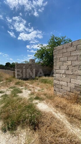 Satılır  torpaq 4 sot, Albalılıq q., photo 11 from 16