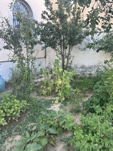 Satılır 5 otaqlı həyət evi/bağ evi 185 m², Qobu q., photo 21 from 32