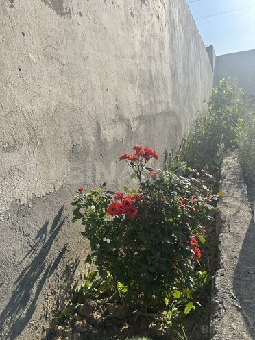 Satılır 5 otaqlı həyət evi/bağ evi 185 m², Qobu q., photo 22 from 32