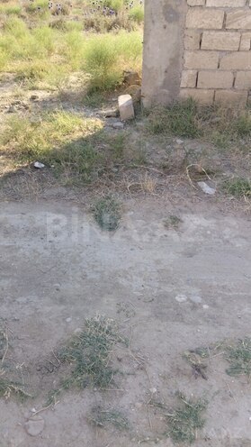 Продаётся  участок 22 сот, Абшеронcкий  р., photo 8 from 15